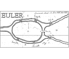 The EULER Project is a MERMAT 2013 Sponsor