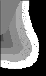 \includegraphics[height=3.45 cm]{images/kdb005ll.b1.eps}