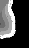 \includegraphics[height=3.45 cm]{images/kdb041ll.b2.eps}