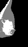 \includegraphics[height=3.45 cm]{images/cdb041ll.b2.eps}