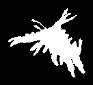 \includegraphics[height=2.75 cm]{images/rdb193lled.eps}