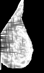 \includegraphics[height=5.2cm]{images/pot021ll.eps}
